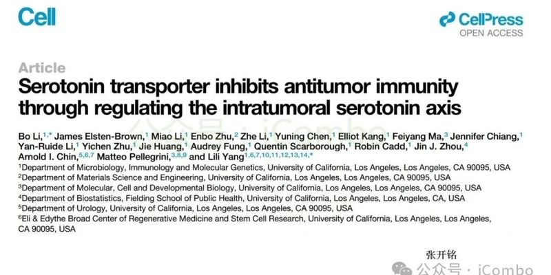 抗抑郁药也能抗癌？新研究揭示SSRIs如何增强免疫疗法效果