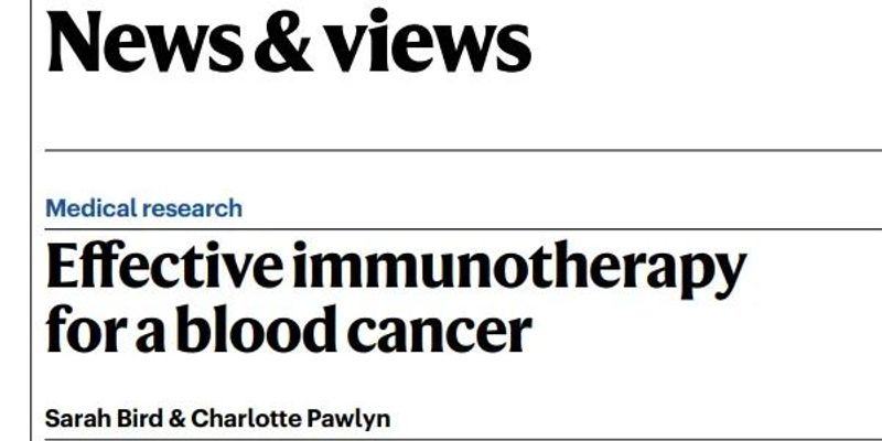 CAR-T细胞疗法：多发性骨髓瘤治疗的五年突破与长期希望