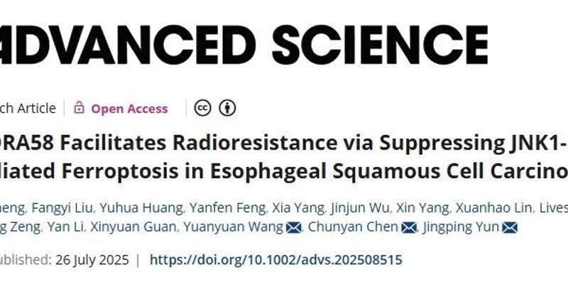 SNORA58高表达预示食管癌放疗效果不佳,新研究揭示背后机制与应对策略
