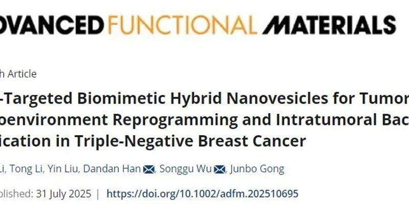 三阴性乳腺癌治疗新突破：双靶向纳米囊泡清除肿瘤细菌，增强免疫疗效