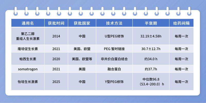 深度解析药物半衰期：优化生长激素与抗生素用药，确保疗效与安全