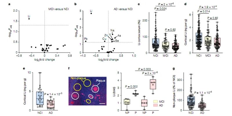 Nature杂志8月重磅研究：肺癌、胰腺癌、阿尔兹海默病等疾病治疗新希望与机制揭示
