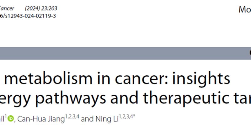 癌症代谢新突破：靶向癌细胞能量通路，探索抗癌治疗新靶点
