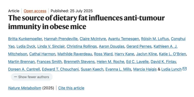 高脂饮食警示：动物脂肪如何削弱免疫力，成为肿瘤生长的“加速器”？