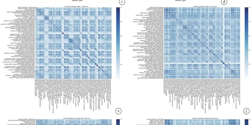 影像组学与机器学习：精准预测肺腺癌淋巴结转移，优化治疗策略
