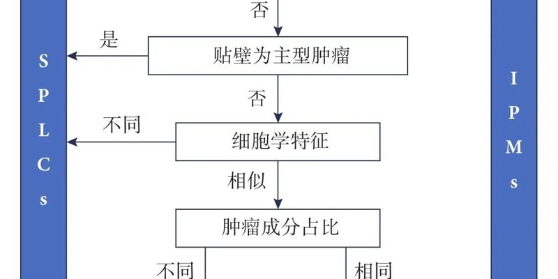 精准鉴别多发性肺腺癌:IASLC共识下的病理与分子诊断策略