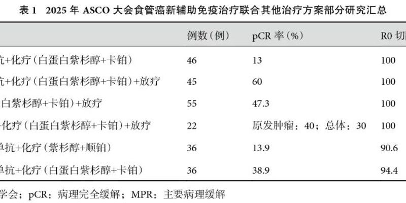 2025 ASCO-GI:食管癌与胃食管结合部癌治疗新突破,免疫靶向联合疗法前景广阔