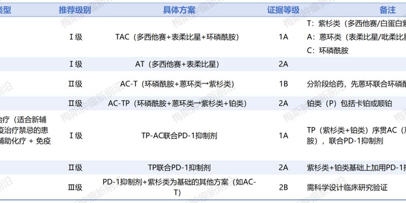 三阴性乳腺癌新辅助治疗指南：化疗联合免疫成新趋势（附2025 CSCO方案）