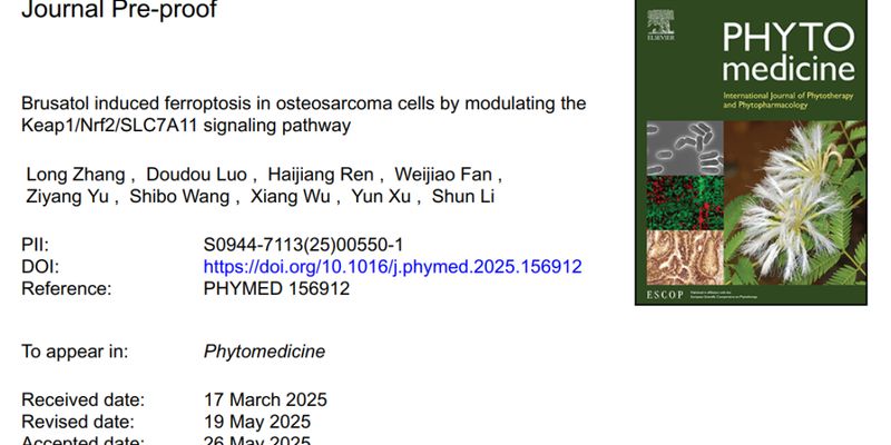 鸦胆子苦醇新突破：诱导铁死亡，为骨肉瘤治疗开辟新途径