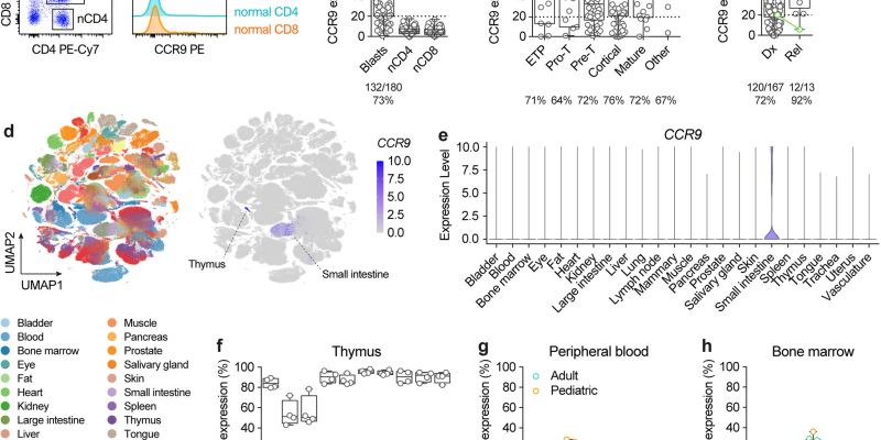 T-ALL新疗法:靶向CCR9/CD1a的双特异性CAR-T疗法如何攻克白血病治疗难题?