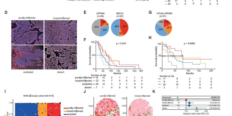 卵巢癌为何容易复发?最新研究揭示免疫微环境的关键作用