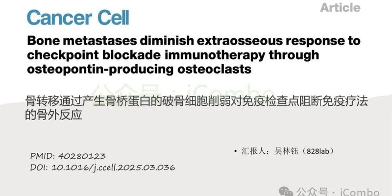 骨转移如何削弱免疫治疗效果?地舒单抗有望逆转乳腺癌、肺癌、前列腺癌患者的ICB耐药性
