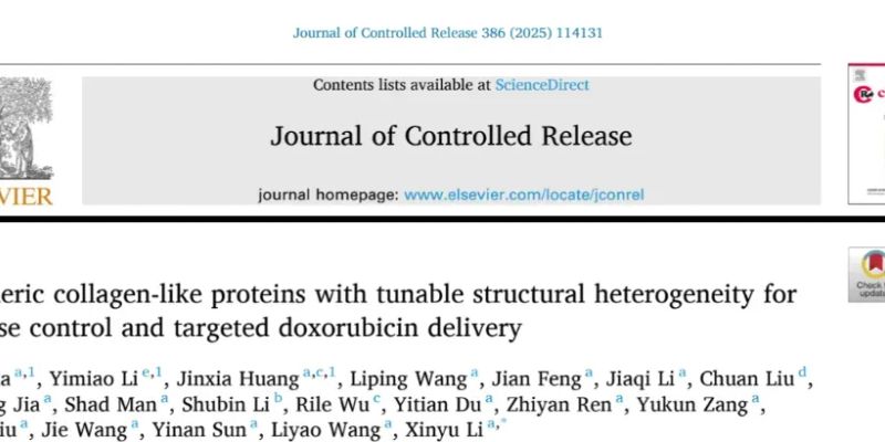 阿霉素靶向递送新突破：精准打击三阴性乳腺癌与脑胶质瘤，显著降低毒副作用