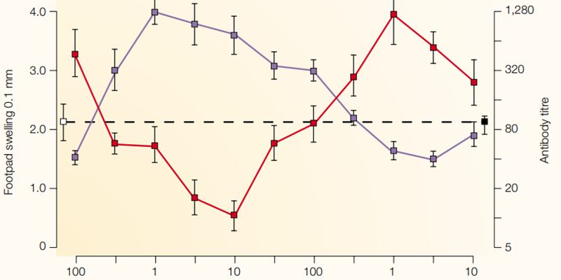 什么是TH1和TH2细胞？一文读懂它们在免疫反应中的关键作用