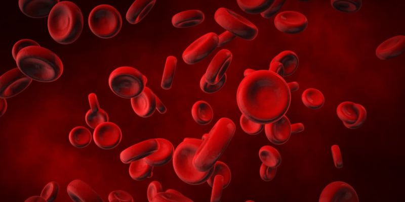 卡非佐米联合方案显著改善老年初诊多发性骨髓瘤患者MRD阴性率与生存期