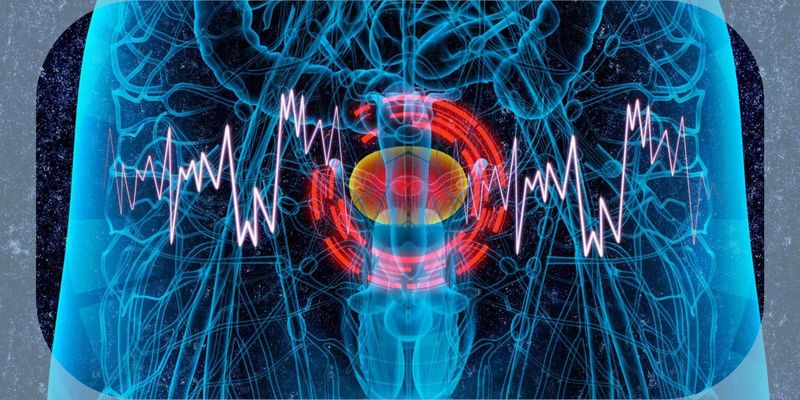 阿维鲁单抗联合戈沙妥珠单抗:晚期尿路上皮癌一线维持治疗新突破