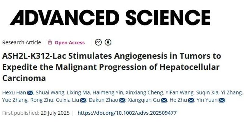 肝癌研究新发现:ASH2L蛋白修饰如何成为潜在治疗新靶点?