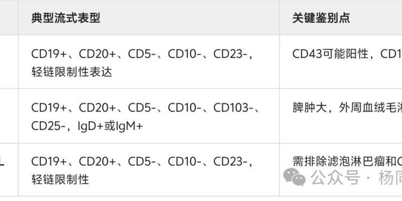 B淋巴细胞淋巴瘤流式细胞术诊断:关键CD标志物解析与鉴别要点