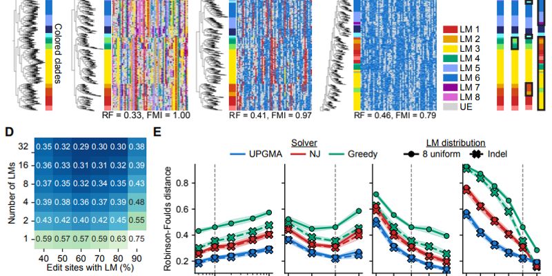 癌症治疗新前沿：解读《科学》期刊最新研究，从AI靶向到分子胶