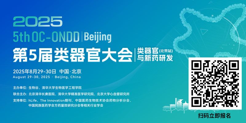 类器官技术详解：癌症患者的“替身”，精准筛选个性化抗癌药物