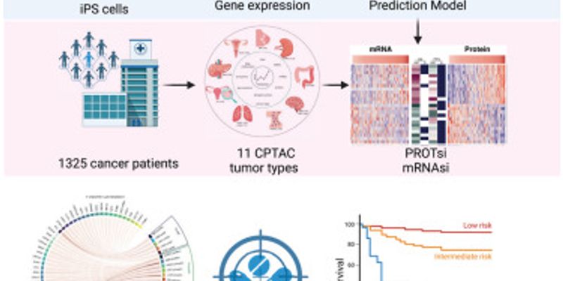 癌症治疗新方向:人工智能PROTsi精准评估肿瘤风险,助力新药研发