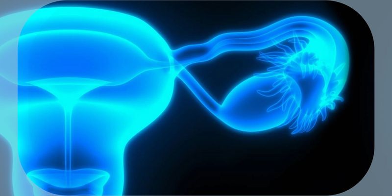 mRNA-2416治疗卵巢癌:1/2期研究显示安全性良好,但疗效如何?