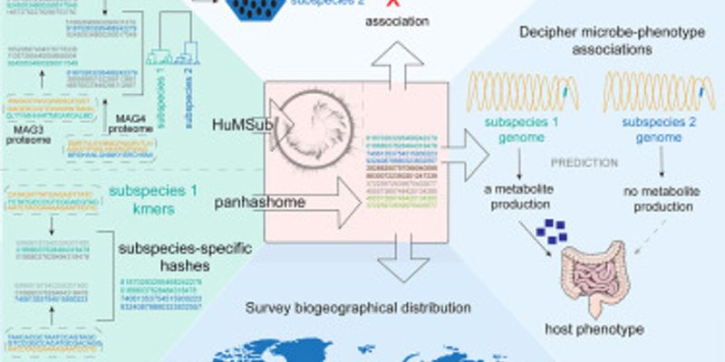 肠道细菌：结直肠癌无创筛查新突破，早期诊断更便捷