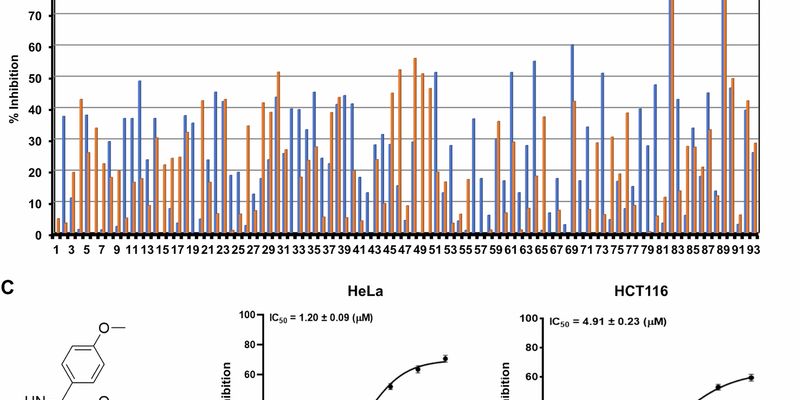 烟酰胺衍生物抗癌新发现:靶向微管蛋白,有效抑制多种肿瘤生长与转移