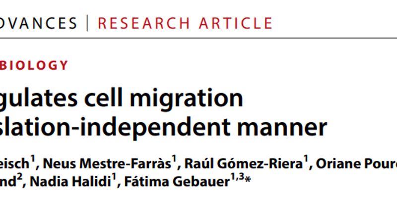 阻断癌症转移新希望:eIF2A蛋白或是攻克黑色素瘤的关键靶点