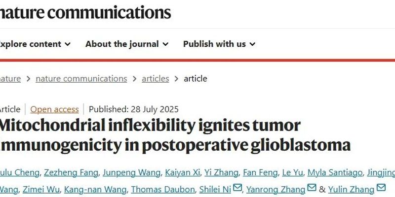 胶质母细胞瘤新突破：靶向线粒体免疫疗法可有效预防术后复发