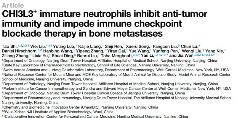 骨转移免疫治疗新突破：靶向DKK1可克服免疫抑制，增强疗效