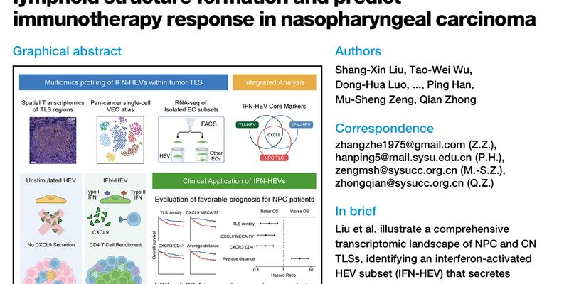 鼻咽癌免疫治疗新突破：CTRscore模型问世，精准预测免疫疗法效果