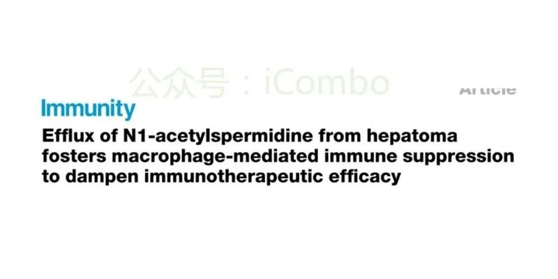揭秘肝癌免疫逃逸新机制:N1-乙酰亚精胺或成治疗新靶点
