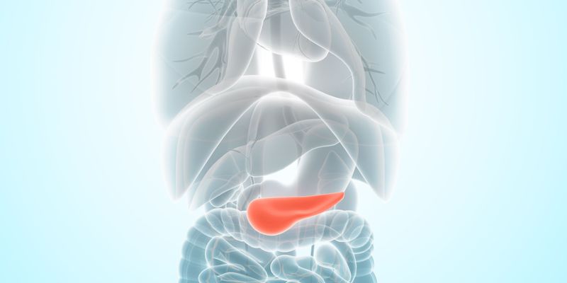 KRAS突变胰腺癌新突破：ELI-002疫苗临床研究证实可延缓肿瘤复发