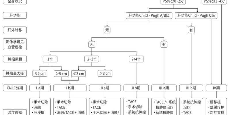 2025最新肝癌治疗指南：各分期治疗方案与靶向药选择全解析