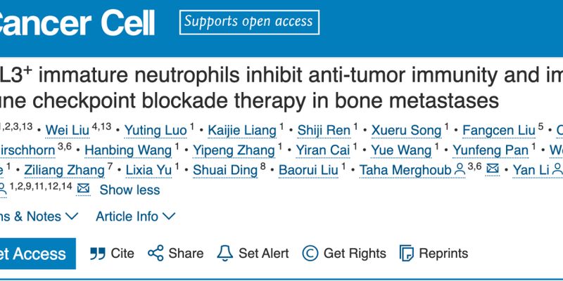 揭秘癌症骨转移难治之谜：DKK1如何“黑化”中性粒细胞，影响免疫治疗效果？