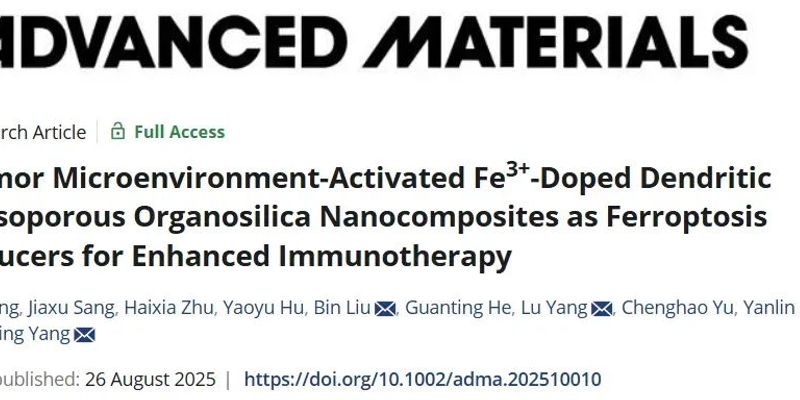 新型纳米复合物Fe-DMOS诱导肿瘤铁死亡，联合免疫治疗抗癌新突破