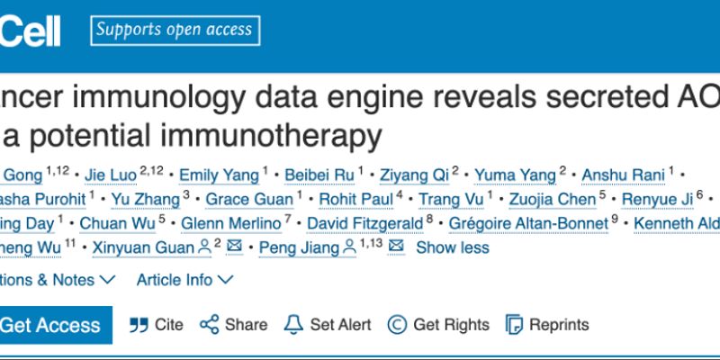 癌症免疫治疗新突破：AOAH蛋白如何唤醒T细胞，逆转肿瘤免疫抑制？