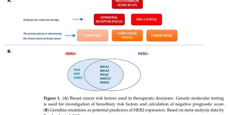 罕见LZTR1基因突变与乳腺癌：一例个案揭示早期预测与治疗新方向