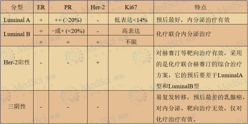 乳腺癌病理报告解读:ER、PR、HER-2、Ki-67指标阳性阴性代表什么?