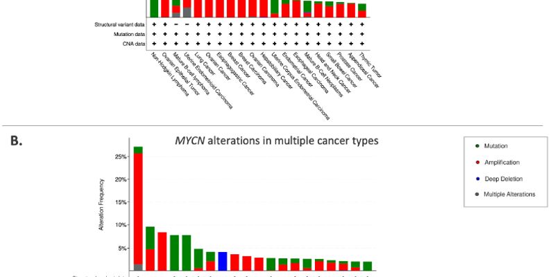 MYCN基因扩增：儿童脑肿瘤的“幕后黑手”与靶向治疗新希望