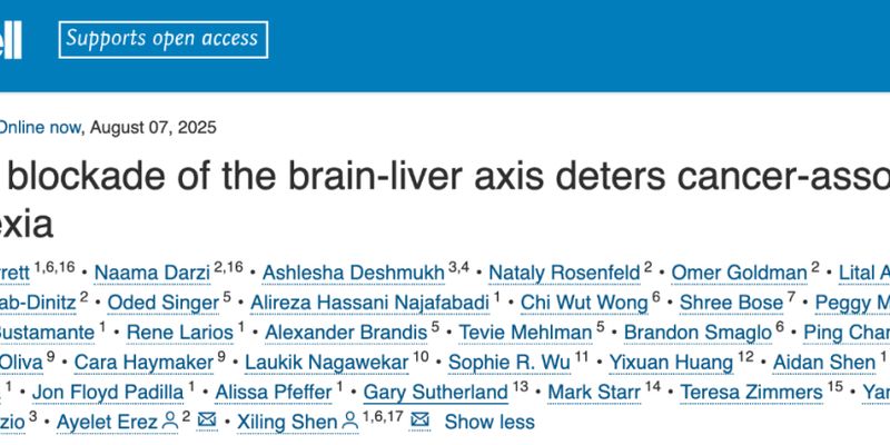 癌症恶病质有救了？科学家揭示“暴瘦”根源，新疗法或可延长生存期