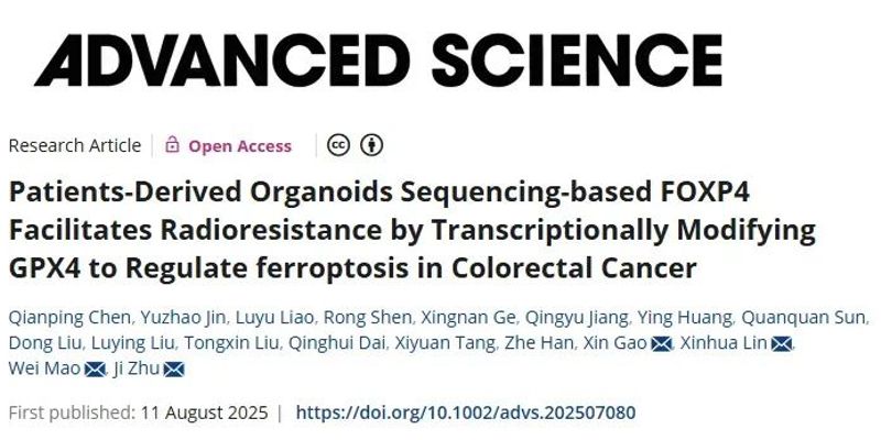 攻克结直肠癌放射抗性：研究发现FOXP4是关键靶点，多柔比星可增敏