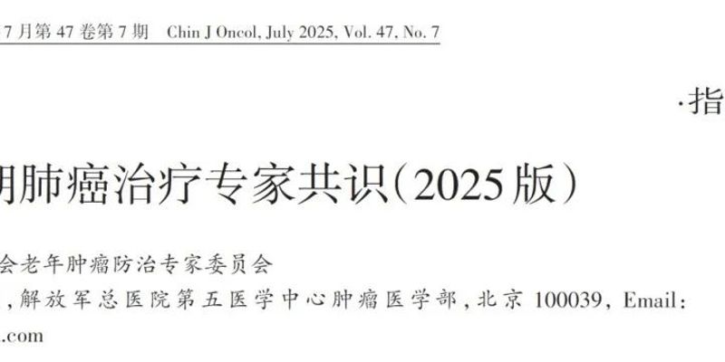 2025版老年晚期肺癌治疗指南:靶向、免疫与化疗方案权威解读