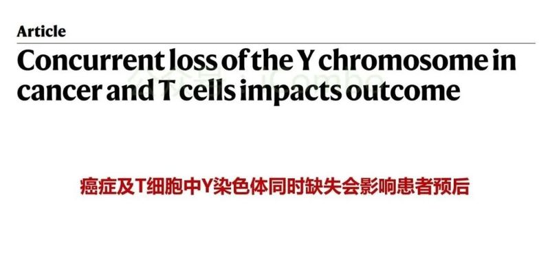 Y染色体缺失为何导致男性癌症预后更差?Nature新研究揭示背后机制
