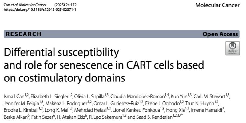 提高CAR-T疗效的关键:揭秘细胞衰老如何影响淋巴瘤、白血病治疗持久性