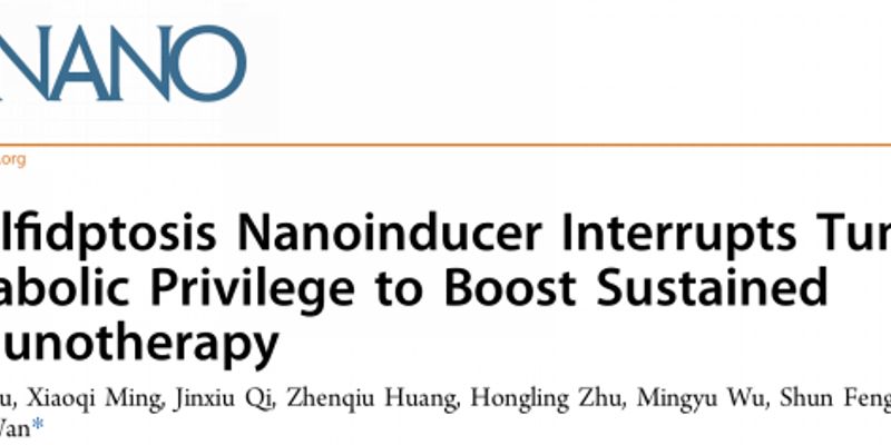乳腺癌新疗法突破：双硫死亡纳米诱导剂如何重塑肿瘤代谢，激活长效抗癌免疫？