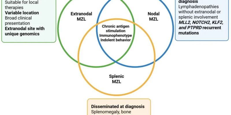 边缘区淋巴瘤(MZL)最新治疗策略:一文读懂初治、复发及难治性患者的用药选择