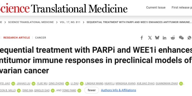 卵巢癌治疗新突破:PARPi与WEE1i序贯疗法如何增强抗肿瘤免疫?