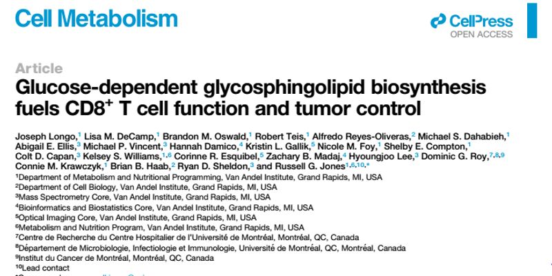 T细胞抗癌新机制：葡萄糖如何通过合成糖鞘脂，为肿瘤免疫治疗“充电”？